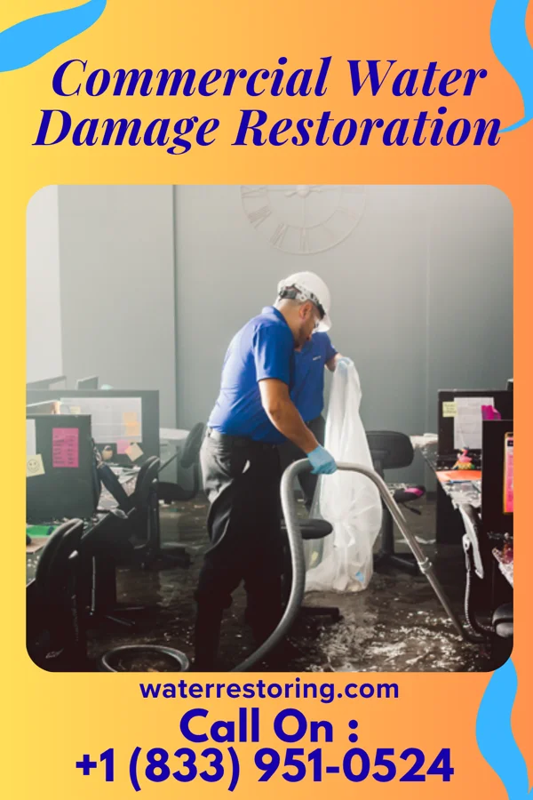 Commercial Water Damage Restoration in Pecan Park, NM